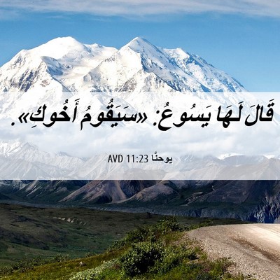 Picture 06 - يوحنَّا 11:23 AVD - قَالَ لَهَا يَسُوعُ: - Bible Verse Picture