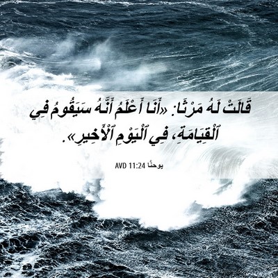 Picture 06 - يوحنَّا 11:24 AVD - قَالَتْ لَهُ مَرْثَا: - Bible Verse Picture