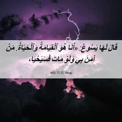 Picture 06 - يوحنَّا 11:25 AVD - قَالَ لَهَا يَسُوعُ: - Bible Verse Picture