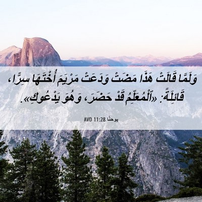 Picture 06 - يوحنَّا 11:28 AVD - وَلَمَّا قَالَتْ هَذَا - Bible Verse Picture