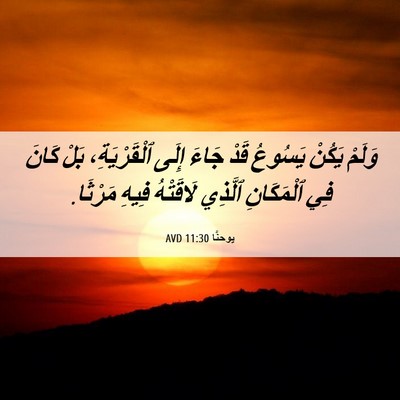 Picture 06 - يوحنَّا 11:30 AVD - وَلَمْ يَكُنْ يَسُوعُ قَدْ - Bible Verse Picture