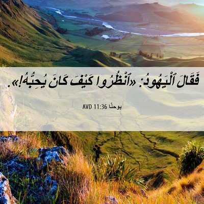 Picture 06 - يوحنَّا 11:36 AVD - فَقَالَ ٱلْيَهُودُ: - Bible Verse Picture