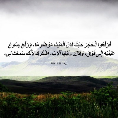 Picture 06 - يوحنَّا 11:41 AVD - فَرَفَعُوا ٱلْحَجَرَ - Bible Verse Picture