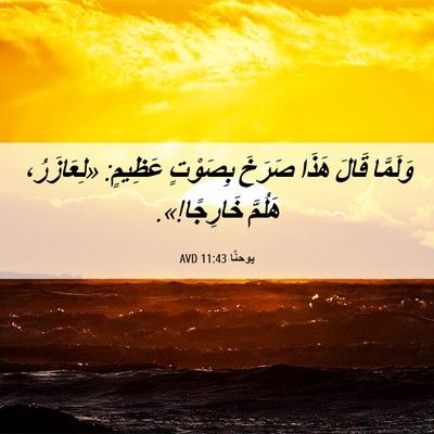 Picture 06 - يوحنَّا 11:43 AVD - وَلَمَّا قَالَ هَذَا - Bible Verse Picture