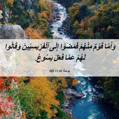 Picture 06 - يوحنَّا 11:46 AVD - وَأَمَّا قَوْمٌ مِنْهُمْ - Bible Verse Picture