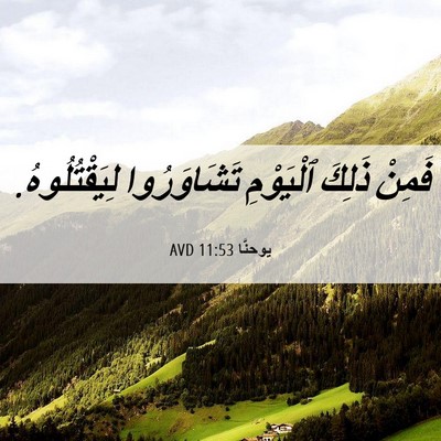 Picture 06 - يوحنَّا 11:53 AVD - فَمِنْ ذَلِكَ ٱلْيَوْمِ - Bible Verse Picture