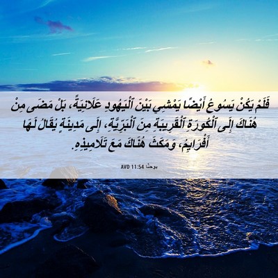 Picture 06 - يوحنَّا 11:54 AVD - فَلَمْ يَكُنْ يَسُوعُ - Bible Verse Picture