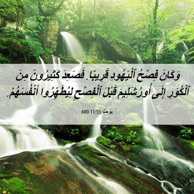 Picture 06 - يوحنَّا 11:55 AVD - وَكَانَ فِصْحُ ٱلْيَهُودِ - Bible Verse Picture