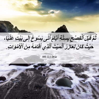 Picture 06 - يوحنَّا 12:1 AVD - ثُمَّ قَبْلَ ٱلْفِصْحِ - Bible Verse Picture