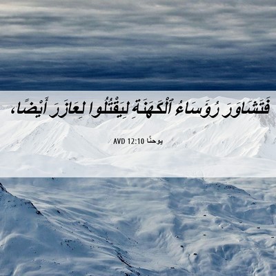 Picture 06 - يوحنَّا 12:10 AVD - فَتَشَاوَرَ رُؤَسَاءُ - Bible Verse Picture