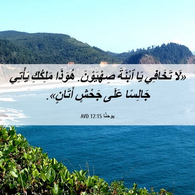 Picture 06 - يوحنَّا 12:15 AVD - «لَا تَخَافِي يَا ٱبْنَةَ - Bible Verse Picture