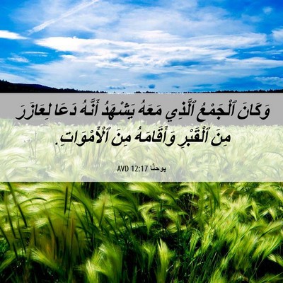 Picture 06 - يوحنَّا 12:17 AVD - وَكَانَ ٱلْجَمْعُ ٱلَّذِي - Bible Verse Picture