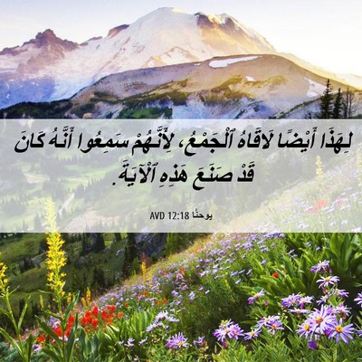 Picture 06 - يوحنَّا 12:18 AVD - لِهَذَا أَيْضًا لَاقَاهُ - Bible Verse Picture