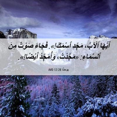 Picture 06 - يوحنَّا 12:28 AVD - أَيُّهَا ٱلْآبُ، مَجِّدِ - Bible Verse Picture