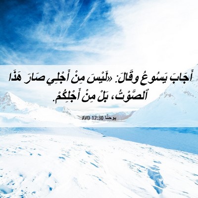 Picture 06 - يوحنَّا 12:30 AVD - أَجَابَ يَسُوعُ وقَالَ: - Bible Verse Picture