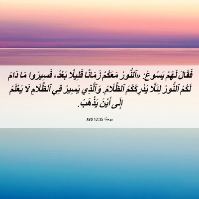 Picture 06 - يوحنَّا 12:35 AVD - فَقَالَ لَهُمْ يَسُوعُ: - Bible Verse Picture