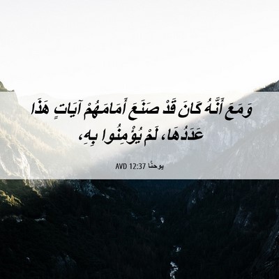 Picture 06 - يوحنَّا 12:37 AVD - وَمَعَ أَنَّهُ كَانَ قَدْ - Bible Verse Picture