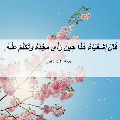Picture 06 - يوحنَّا 12:41 AVD - قَالَ إِشَعْيَاءُ هَذَا - Bible Verse Picture
