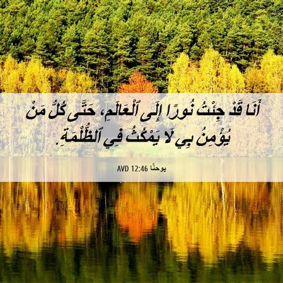 Picture 06 - يوحنَّا 12:46 AVD - أَنَا قَدْ جِئْتُ نُورًا - Bible Verse Picture