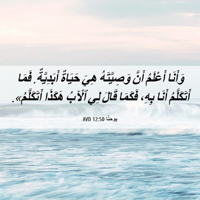 Picture 06 - يوحنَّا 12:50 AVD - وَأَنَا أَعْلَمُ أَنَّ - Bible Verse Picture