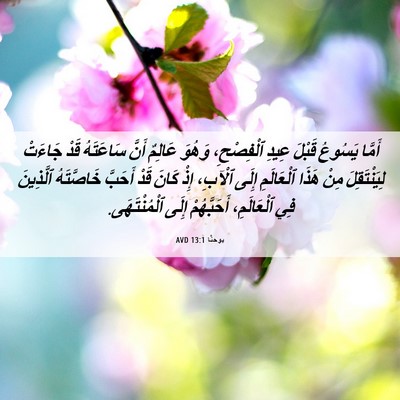 Picture 06 - يوحنَّا 13:1 AVD - أَمَّا يَسُوعُ قَبْلَ - Bible Verse Picture