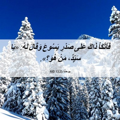 Picture 06 - يوحنَّا 13:25 AVD - فَٱتَّكَأَ ذَاكَ عَلَى - Bible Verse Picture