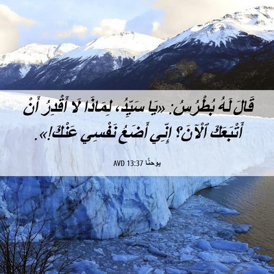 Picture 06 - يوحنَّا 13:37 AVD - قَالَ لَهُ بُطْرُسُ: «يَا - Bible Verse Picture