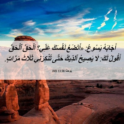Picture 06 - يوحنَّا 13:38 AVD - أَجَابَهُ يَسُوعُ: - Bible Verse Picture
