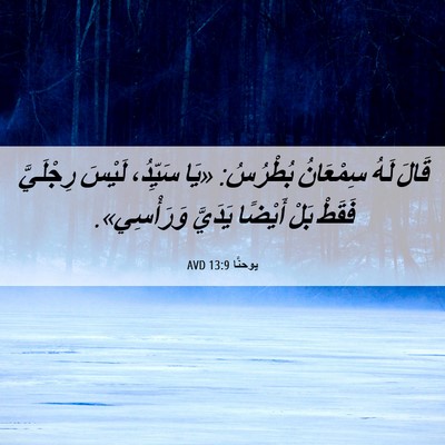 Picture 06 - يوحنَّا 13:9 AVD - قَالَ لَهُ سِمْعَانُ - Bible Verse Picture