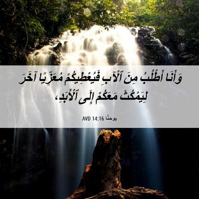 Picture 06 - يوحنَّا 14:16 AVD - وَأَنَا أَطْلُبُ مِنَ - Bible Verse Picture