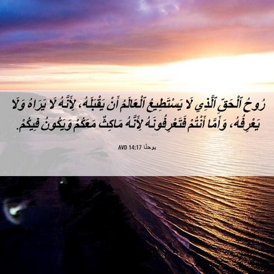 Picture 06 - يوحنَّا 14:17 AVD - رُوحُ ٱلْحَقِّ ٱلَّذِي لَا - Bible Verse Picture