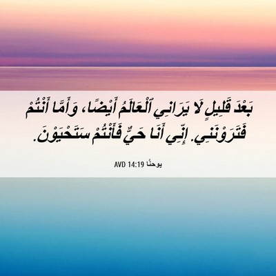 Picture 06 - يوحنَّا 14:19 AVD - بَعْدَ قَلِيلٍ لَا - Bible Verse Picture