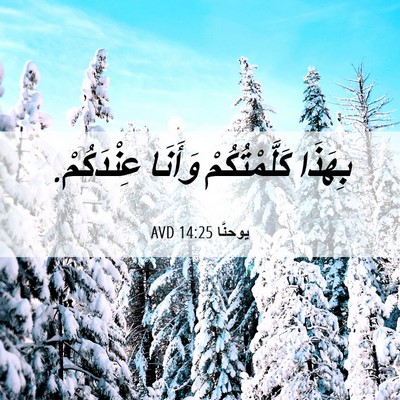 Picture 06 - يوحنَّا 14:25 AVD - بِهَذَا كَلَّمْتُكُمْ - Bible Verse Picture