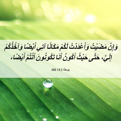 Picture 06 - يوحنَّا 14:3 AVD - وَإِنْ مَضَيْتُ - Bible Verse Picture