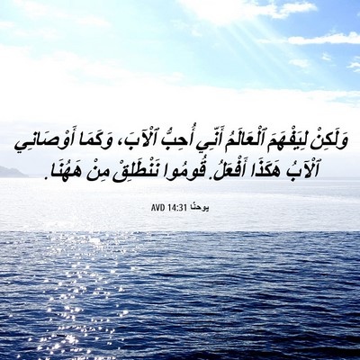 Picture 06 - يوحنَّا 14:31 AVD - وَلَكِنْ لِيَفْهَمَ - Bible Verse Picture