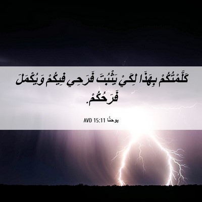 Picture 06 - يوحنَّا 15:11 AVD - كَلَّمْتُكُمْ بِهَذَا - Bible Verse Picture