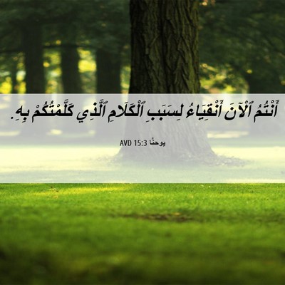 Picture 06 - يوحنَّا 15:3 AVD - أَنْتُمُ ٱلْآنَ - Bible Verse Picture