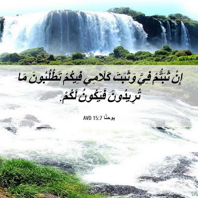Picture 06 - يوحنَّا 15:7 AVD - إِنْ ثَبَتُّمْ فِيَّ - Bible Verse Picture