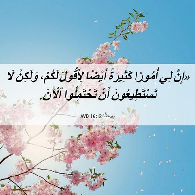 Picture 06 - يوحنَّا 16:12 AVD - «إِنَّ لِي أُمُورًا - Bible Verse Picture