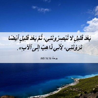 Picture 06 - يوحنَّا 16:16 AVD - بَعْدَ قَلِيلٍ لَا - Bible Verse Picture