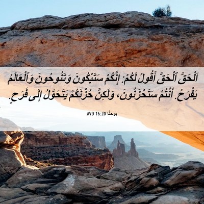 Picture 06 - يوحنَّا 16:20 AVD - اَلْحَقَّ ٱلْحَقَّ - Bible Verse Picture