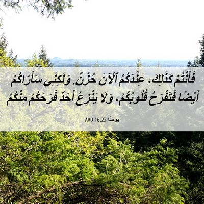 Picture 06 - يوحنَّا 16:22 AVD - فَأَنْتُمْ كَذَلِكَ، - Bible Verse Picture