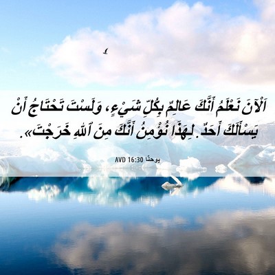 Picture 06 - يوحنَّا 16:30 AVD - اَلْآنَ نَعْلَمُ أَنَّكَ - Bible Verse Picture
