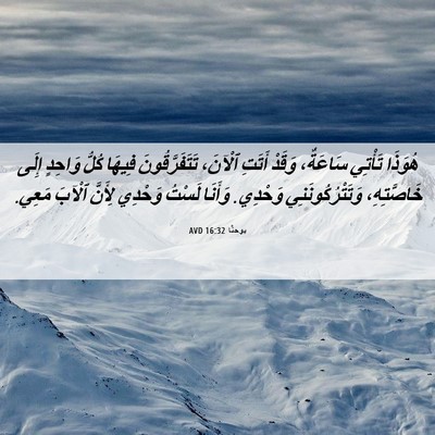 Picture 06 - يوحنَّا 16:32 AVD - هُوَذَا تَأْتِي سَاعَةٌ، - Bible Verse Picture