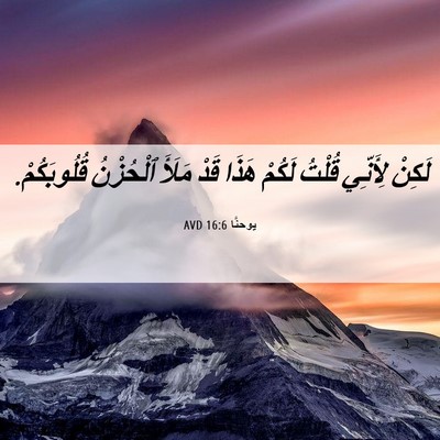 Picture 06 - يوحنَّا 16:6 AVD - لَكِنْ لِأَنِّي قُلْتُ - Bible Verse Picture