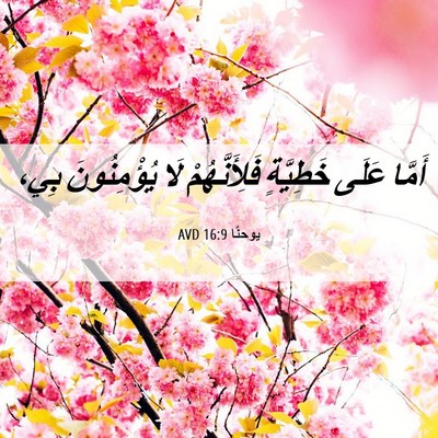Picture 06 - يوحنَّا 16:9 AVD - أَمَّا عَلَى خَطِيَّةٍ - Bible Verse Picture