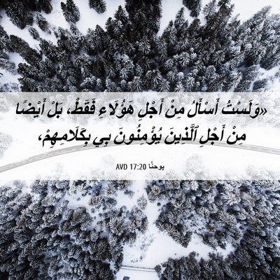 Picture 06 - يوحنَّا 17:20 AVD - «وَلَسْتُ أَسْأَلُ مِنْ - Bible Verse Picture