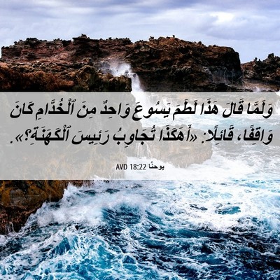 Picture 06 - يوحنَّا 18:22 AVD - وَلَمَّا قَالَ هَذَا - Bible Verse Picture