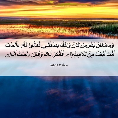 Picture 06 - يوحنَّا 18:25 AVD - وَسِمْعَانُ بُطْرُسُ - Bible Verse Picture