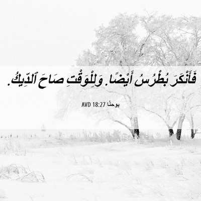 Picture 06 - يوحنَّا 18:27 AVD - فَأَنْكَرَ بُطْرُسُ - Bible Verse Picture